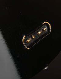 Gibson Grabber, Ebony (1981)