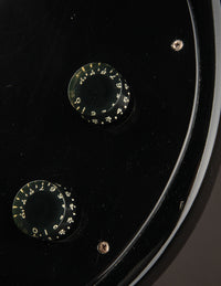 Gibson Grabber, Ebony (1981)