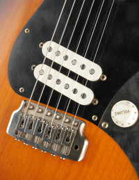 Ron Thorn SoCal C/S Burst Aged (USED, 2024)