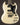 Gibson SG Special, Polaris White (1964)