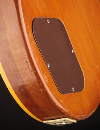 Gibson Les Paul Deluxe Goldtop (1976)