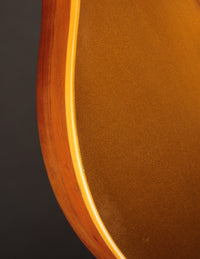 Gibson Les Paul Deluxe Goldtop (1976)