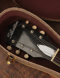 Silvertone Model 1423 Jupiter (1960)