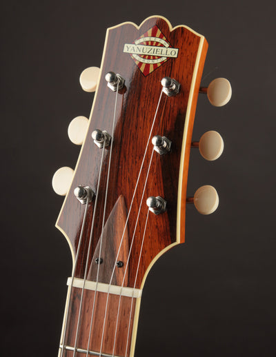 Yanuziello Viceroy Sunburst (USED, c.2017)