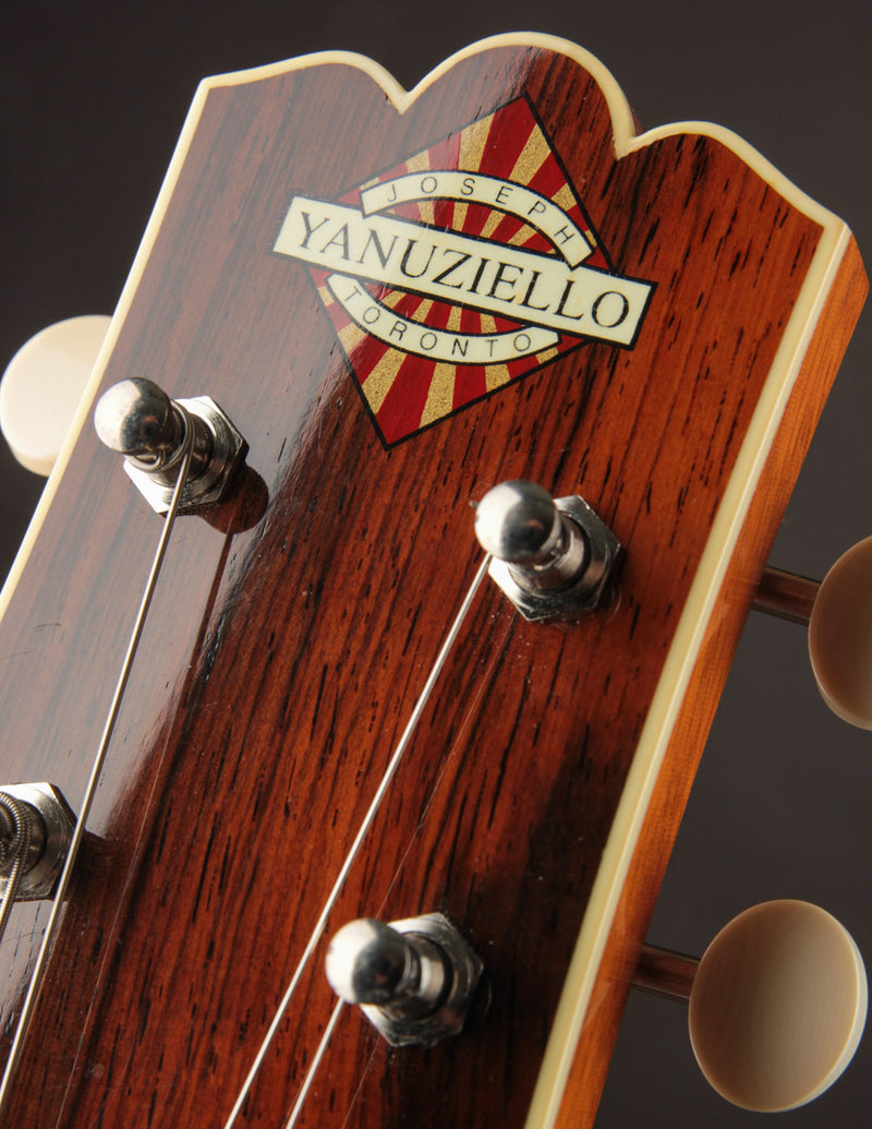 Yanuziello Viceroy Sunburst (USED, c.2017)