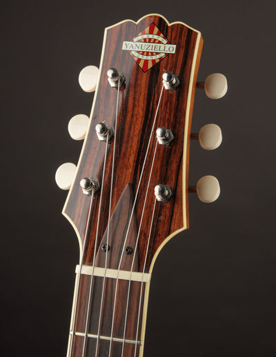 Yanuziello Viceroy Quilt/Sunburst (USED)