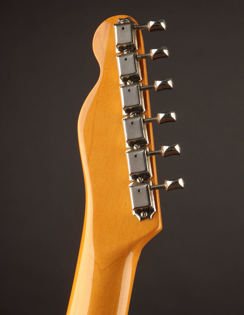 Fender &