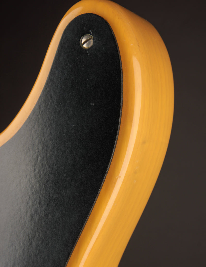 Fender &