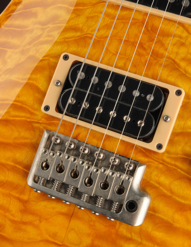 PRS Custom 24 Signature Series 