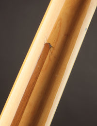 Fender Jazz Bass, Sunburst (1975)