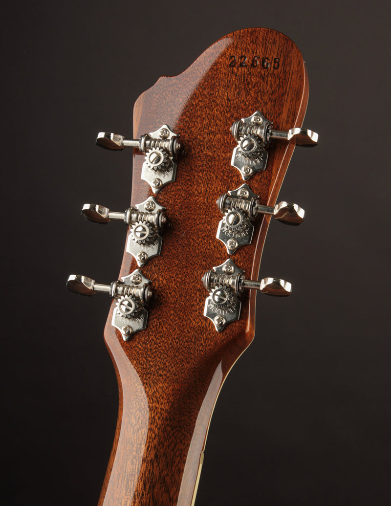 Koll Super Glide Almighty Dark Walnut (USED, 2023)