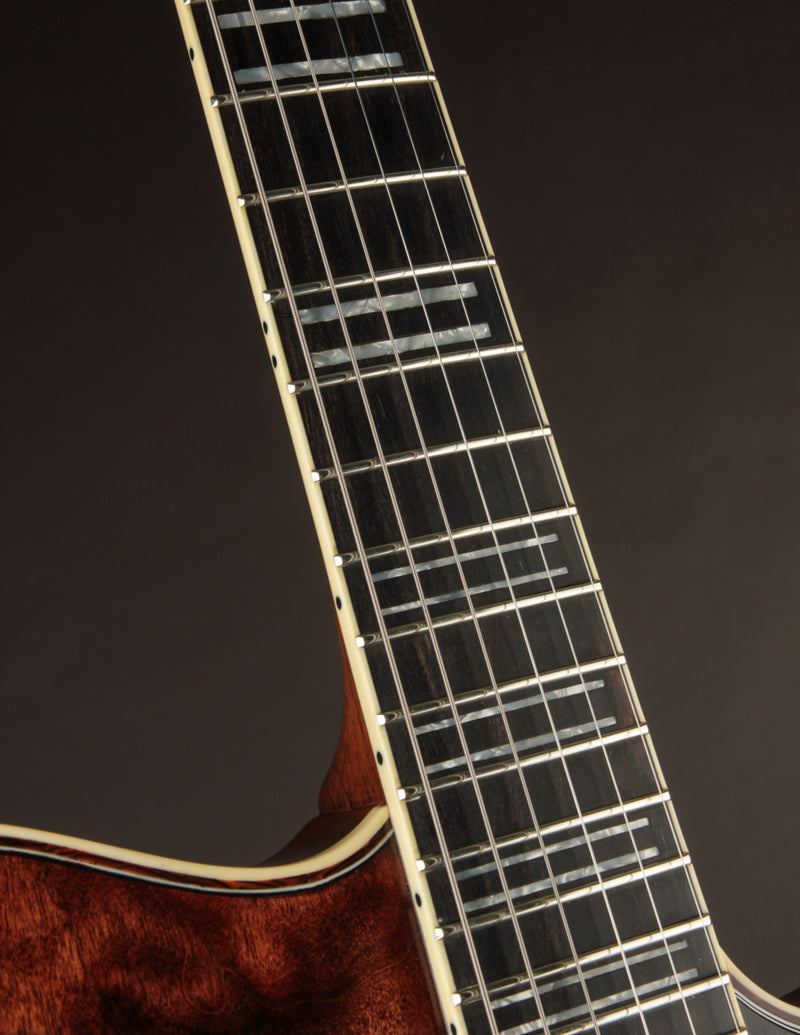 Koll Super Glide Almighty Dark Walnut (USED, 2023)