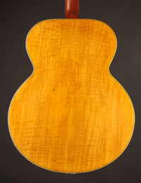 Back view of a wooden electric guitar on a dark background