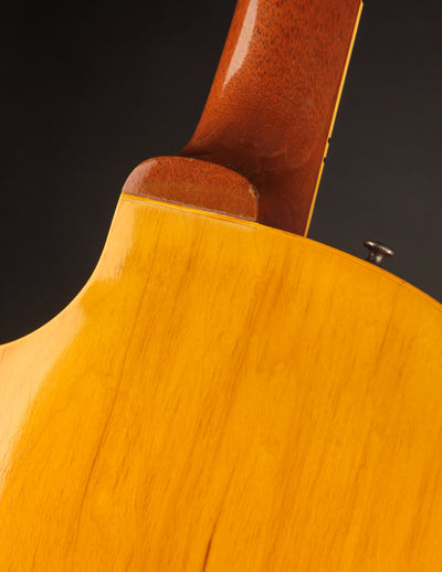 Gibson ES-225TDN (1956)