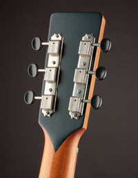 Healy Growler Walnut Top (USED, 2022)