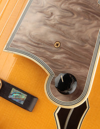 Close up of pickguard and volume knob on an archtop guitar