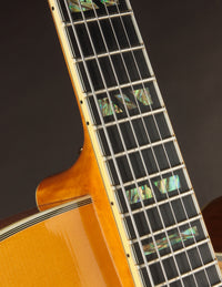 Close-up of a guitar's fretboard on a dark background