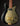 Glossy black electric guitar with gold pickguard on a dark background