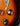 Close-up of a bass' control knobo on a sunburst finish.