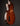 Back view of an electric guitar on a dark background