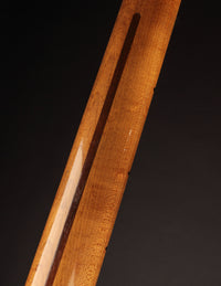 Close up of telecaster guitar neck