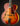 Vintage Johnny Smith archtop guitar with a sunburst finish on a dark background