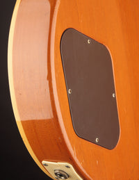 Close up of back/side on an electric guitar