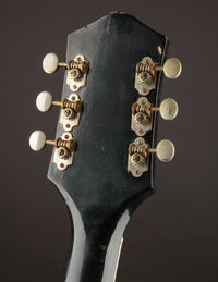 Silvertone 1446 'Chris Isaak' (1960s)