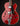 Red electric guitar with Guild logo on a black background