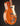 Brown electric guitar with a white pickguard on a dark background, side view