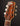 Close-up of a guitar headstock on a dark background