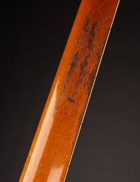 Guild Thunderbird, Sunburst (1965)
