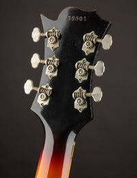 Guild Thunderbird, Sunburst (1965)