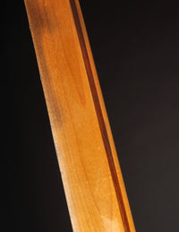 Fender Stratocaster (1954)