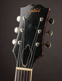 Guild M-65 Freshman, Sunburst (1960)