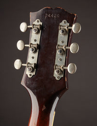Guild M-65 Freshman, Sunburst (1960)