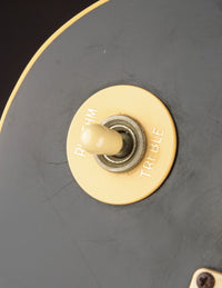 Gibson Les Paul Standard, Ebony (1977)
