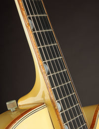 Gretsch 6136 White Falcon (1959)
