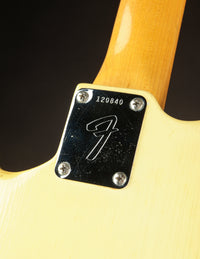Fender Mustang, Olympic White (1966)