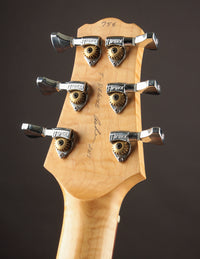 Asher T-Deluxe Tobacco Sunburst #754 (USED, 2013)