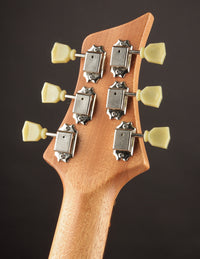 Fibenare Basic Jazz Hollow (USED, 2021)