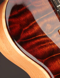 Fibenare Basic Jazz Hollow (USED, 2021)