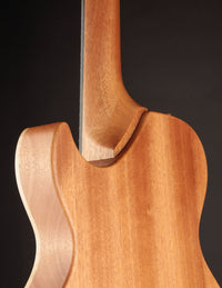 Fibenare Basic Jazz Hollow (USED, 2021)