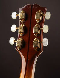 Guild X-500 Special, Sunburst (1958)