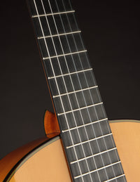 Esteve 11F Flamenco Spruce & Cypress