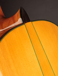 Esteve 11F Flamenco Spruce & Cypress
