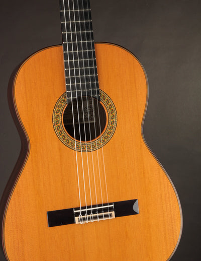 Esteve 7SR Cedar & Indian Rosewood