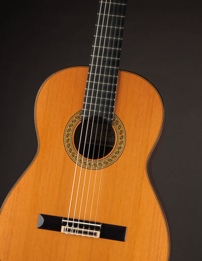 Esteve 7SR Cedar & Indian Rosewood