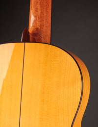 Esteve 8F Flamenco Spruce & Cypress