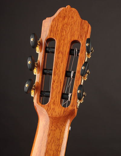 Esteve 8F Flamenco Spruce & Cypress